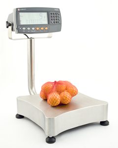 Stainless Steel R420 Bench Scale