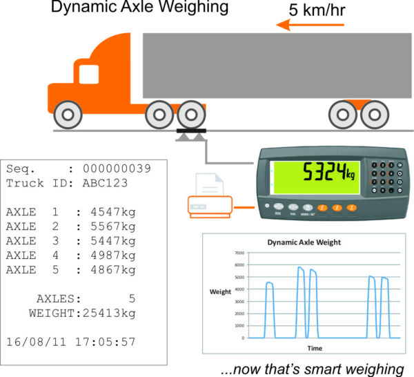 Axle Weighing Scale - Image 2