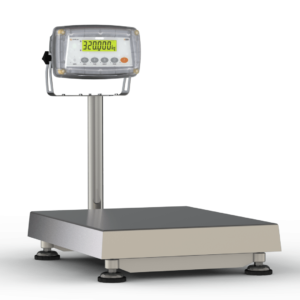 XG Scales