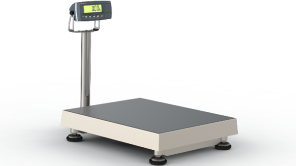 XG Scales