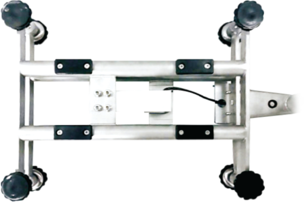 XG Scales - Image 3